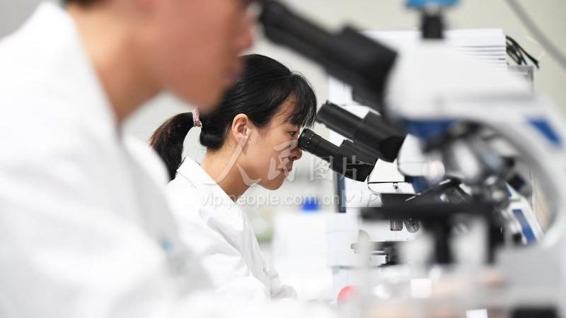 分子生物学试剂：如何选择合适的厂家与价格