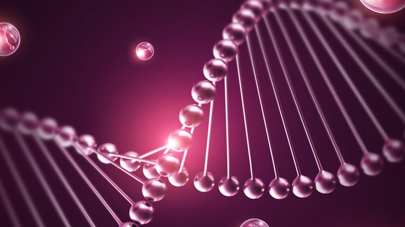 基因检测定制服务：揭秘定制化背后的科学逻辑