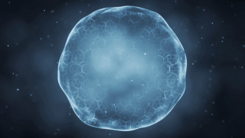 分子生物学试剂批发，成本背后的考量因素**