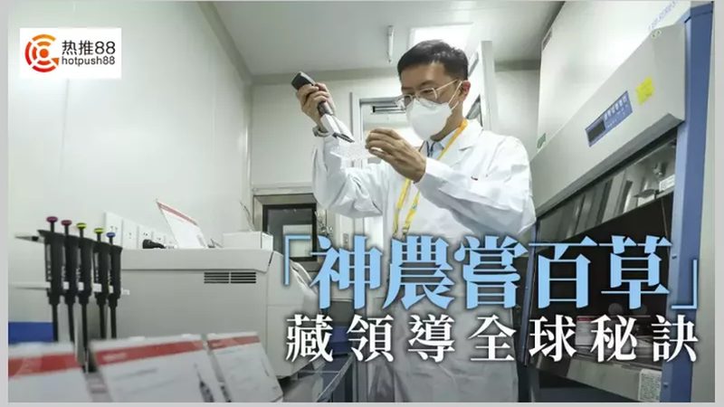 解码生物科技：研发实力与产品竞争力的核心要素**