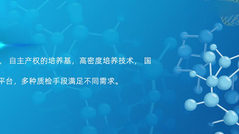 抗体CDMO工艺流程：揭秘生物制药的“幕后英雄