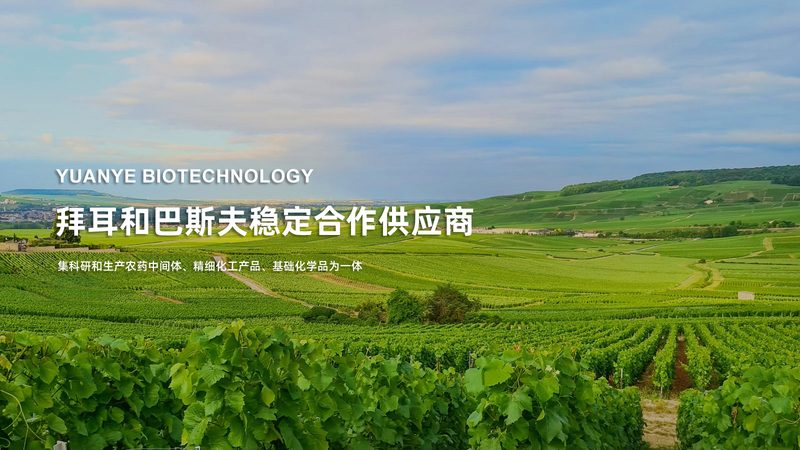 生物制品出口报关，流程详解图解通关攻略