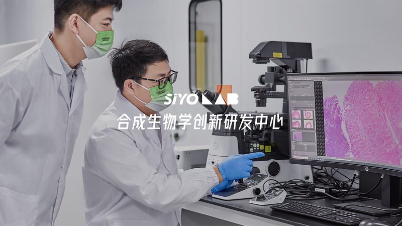 GMP车间净化等级分类：标准与实际应用**