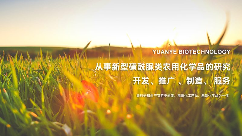 上海细胞工厂：揭秘十大品牌背后的技术秘密