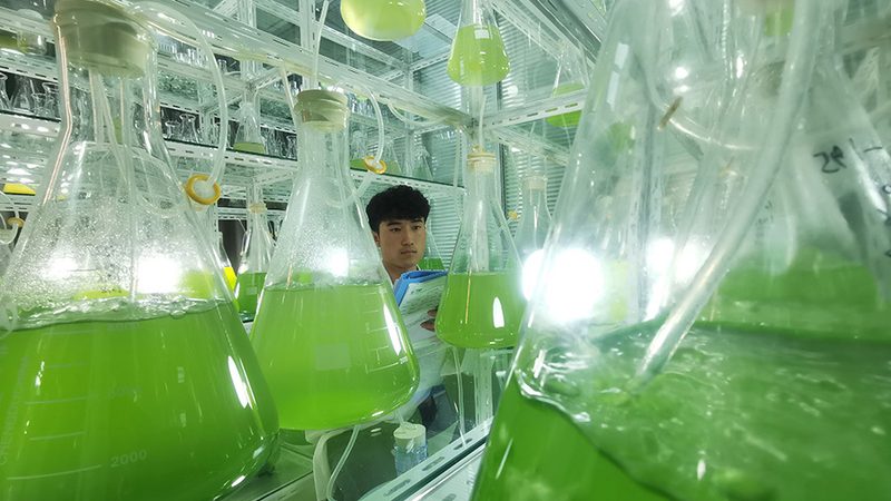 生物医药研发外包：揭秘背后的专业与规范**